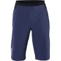 iON Plus Ionic Lt Chamois Shorts
