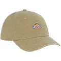 Dickies Hardwick Duck Canvas Caps