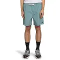 Element Chillin Classic Wk Shorts