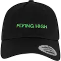 Mister tee Upscale Flying High Dad Cap