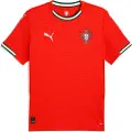 Puma Portugal 2025 Home Jersey Men, Clothing, Sport Red/Sugared Almond, XS