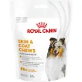 Royal Canin Skin & Coat Adult Chews - Sparepakke: 2 x 240 g (120 stk)