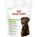 Royal Canin Digestion Adult Chews kosttilskudd - Sparepakke: 2 x 160 g (80 stk)