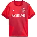 Puma Danish Handball Federation 2025 Home Jersey Youth, Clothing, Red/Dark Cherry, 15-16Y