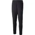 Puma Casual Teamcup Svettbukser