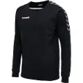 Hummel Authentic Training Collegegenser