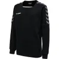 Hummel Authentic Training Collegegenser
