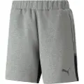 Puma Casual Teamcup Shorts