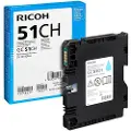 Ricoh Gc51 405863 Blekkpatron