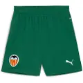 Puma Valencia Cf 23/24 Junior-shorts