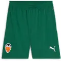 Puma Valencia Cf 23/24 Shorts