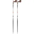 TSL Outdoor Tactil C100 Spike Spaserstokker