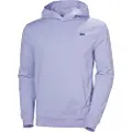 Helly Hansen Core Graphic Hettegenser