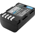 Newell Batteri Dmw-blf19e