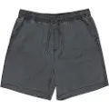 Quiksilver Taxer Ws Shorts svart