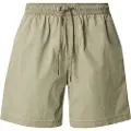 Quiksilver Taxer Ws Shorts grønn