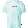 Quiksilver Td Frog Ritual Kortarmet T-skjorte