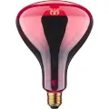 Paulmann 20126, 250 W, E27, 5000 t, 110 lm, 100°, IP20