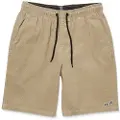 Volcom Outer Spaced 21 Shorts