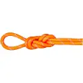 Mammut Alpine 9.5 Mm Tau