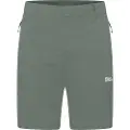 Jack Wolfskin Hikeout Shorts
