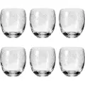 Leonardo LeonardoWH Tumblerglass CHATEAUTransparentDrinkglass & shotglassFra Homeroom