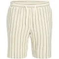 Jack & Jones Jaiden Coba Shorts