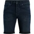 Jack & Jones Rick Fox Cb 310 Korte Jeans