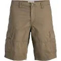 Jack & Jones Cole Mateo Cargo Shorts
