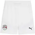 Puma Egypt 2025 Shorts Men, Sport, White/Black, L