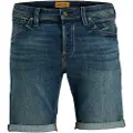 Jack & Jones Rick Fox Cb 310 Korte Jeans