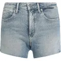Calvin Klein Jeans J20j225158 Korte Jeans