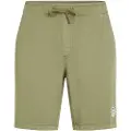 O'Neill O'Riginals Walk Shorts grønn