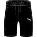 Puma Teamgoal 23 Casuals Shorts