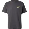 Vans Brush Script Loose T-skjorte grå