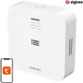 Heiman Tuya Wifi Karbonmonoksiddetektor Ws-720es
