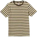 Volcom Level Stone Crew T-skjorte brun
