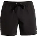 Quiksilver Everyday Solid Volley 15 Boardshorts svart