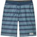 Patagonia Hydropeak - 21 In. Boardshorts blå