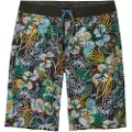 Patagonia Hydropeak - 21 In. Boardshorts mønster