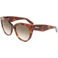 Salvatore Ferragamo Sf1061s-240 Solbriller For Kvinner