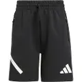 Adidas Z.n.e Shorts