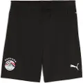 Puma Egypt 2025 Shorts Men, Sport, Black/White, L