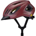 Specialized Chamonix 3 Mips Hjelm