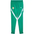Puma Senegal 2025 Pre-match Woven Pants Men, Sport, Sport Green/White, XS