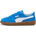 Puma Palermo Ps Treningssko