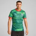 Puma Portugal Esports Jersey Men, Clothing, Blessing Green, XL