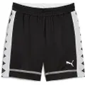 Puma The All Jaws Basketball Shorts Men, Sports, Black/Stormy Slate, M