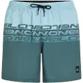 O'Neill Cali Stripe 16'' Boardshorts blå