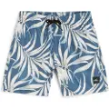 O'Neill Cali 14" Kids Boardshorts blå